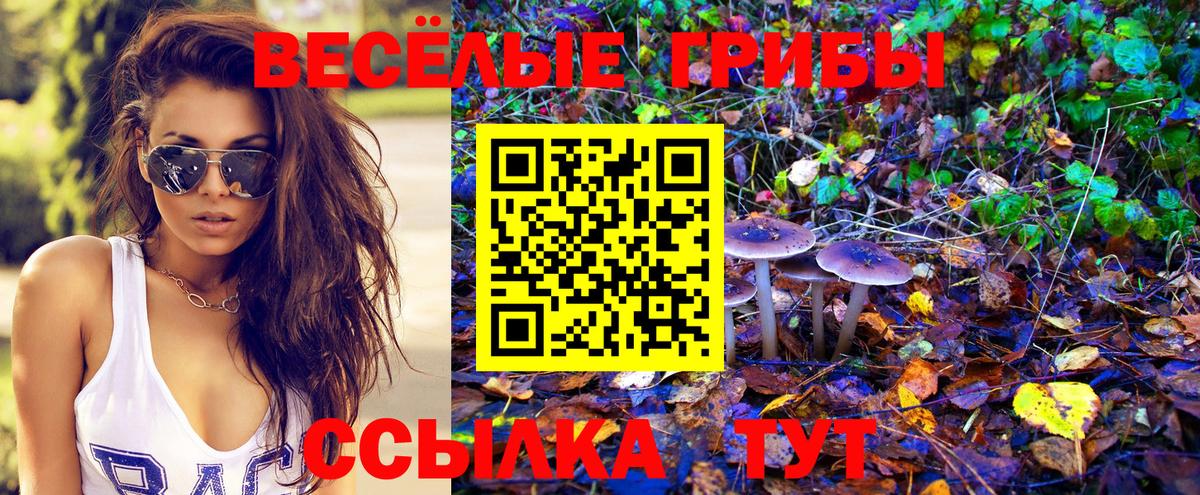 Гашиш Костомукша